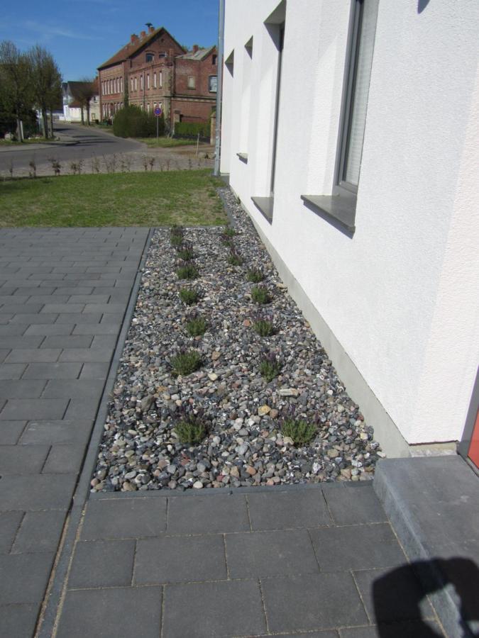 Villa Reusenhaus Süd Breege Exterior foto